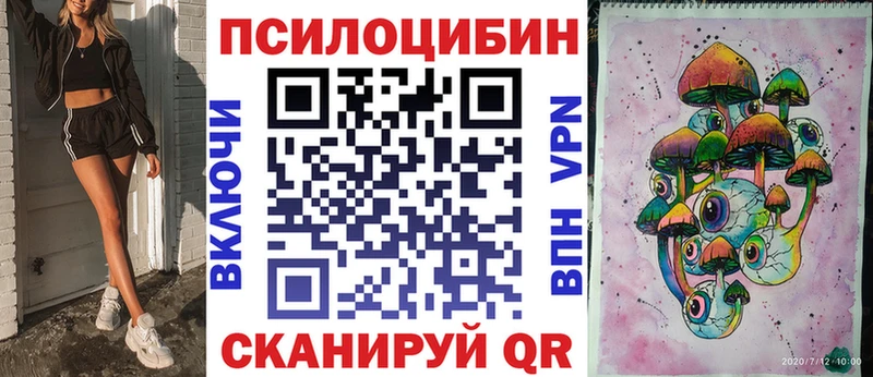 купить наркоту  blacksprut зеркало  Галлюциногенные грибы мицелий  Новопавловск 