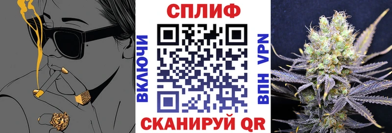 Бошки марихуана планчик  наркотики  shop какой сайт  Новопавловск 